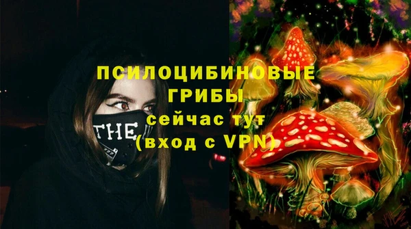 кокс Абаза